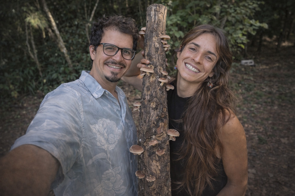 Cultivadores de shiitake